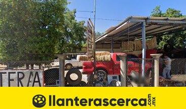 llanteras en alamos