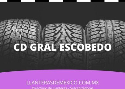 llanteras en ciudad gral escobedo