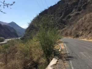 llanteras en mixtlan