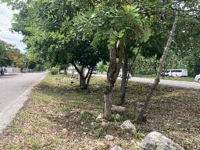 llanteras en san felipe del progreso