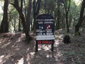 llanteras en san martin totolan