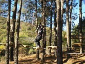 llanteras en san pablo del monte