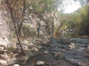 llanteras en santa ines
