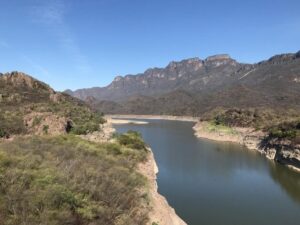 llanteras en santiago de comanito