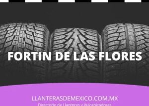 llanteras en tierra blanca guanajuato