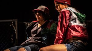 llanteras en villa corzo