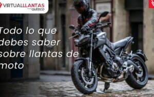 todo lo que debes saber sobre las llantas sunny durabilidad rendimiento y caracteristicas